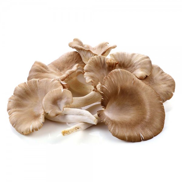 Ciuperci Pleurotus (0.5 kg)